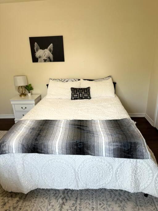 Apartament Walk To The Alamodome! Sleeps 6, Pet Friendly San Antonio Zewnętrze zdjęcie