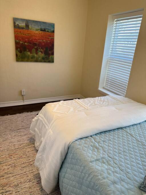 Apartament Walk To The Alamodome! Sleeps 6, Pet Friendly San Antonio Zewnętrze zdjęcie